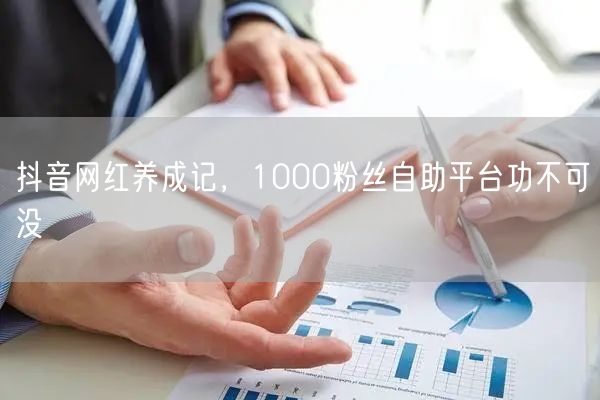 抖音网红养成记，1000粉丝自助平台功不可没