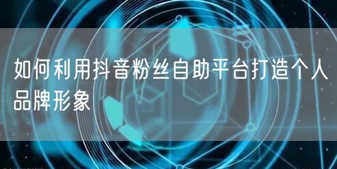 如何利用抖音粉丝自助平台打造个人品牌形象