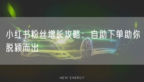 小红书粉丝增长攻略：自助下单助你脱颖而出