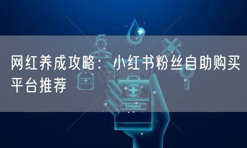 网红养成攻略：小红书粉丝自助购买平台推荐