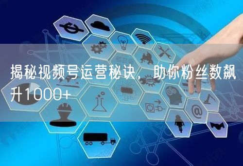 揭秘视频号运营秘诀，助你粉丝数飙升1000+