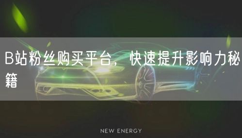 B站粉丝购买平台,快速提升影响力秘籍