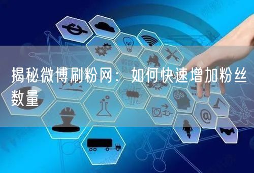 揭秘微博刷粉网：如何快速增加粉丝数量