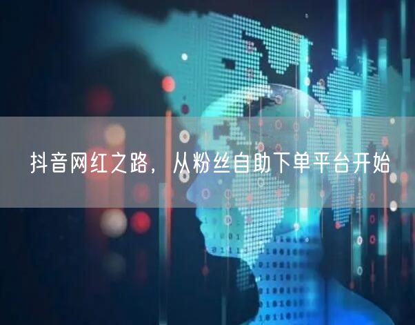 抖音网红之路，从粉丝自助下单平台开始