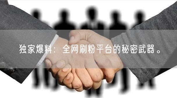 独家爆料：全网刷粉平台的秘密武器。