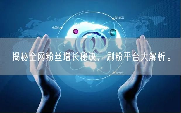 揭秘全网粉丝增长秘诀，刷粉平台大解析。