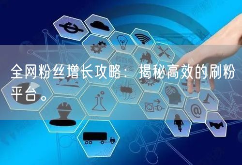 全网粉丝增长攻略：揭秘高效的刷粉平台。