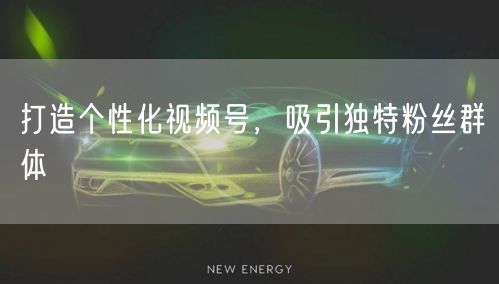 打造个性化视频号，吸引独特粉丝群体