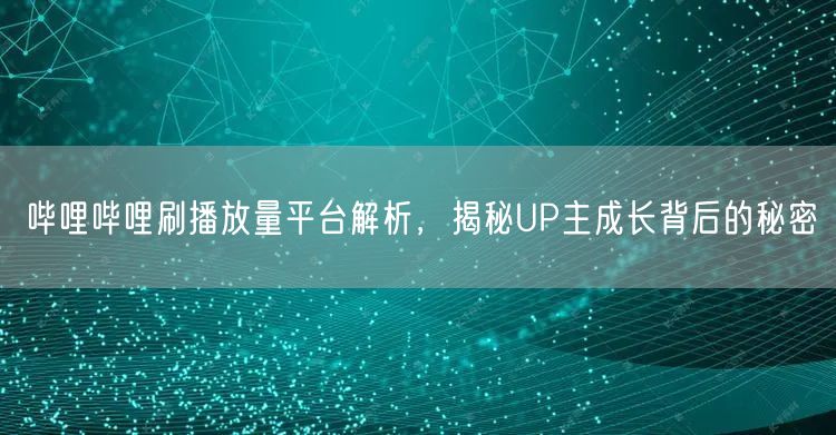 哔哩哔哩刷播放量平台解析，揭秘UP主成长背后的秘密