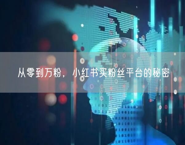 从零到万粉，小红书买粉丝平台的秘密