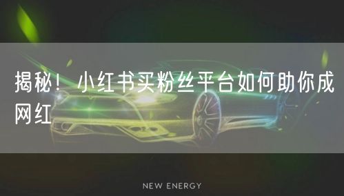 揭秘！小红书买粉丝平台如何助你成网红