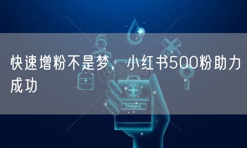 快速增粉不是梦，小红书500粉助力成功