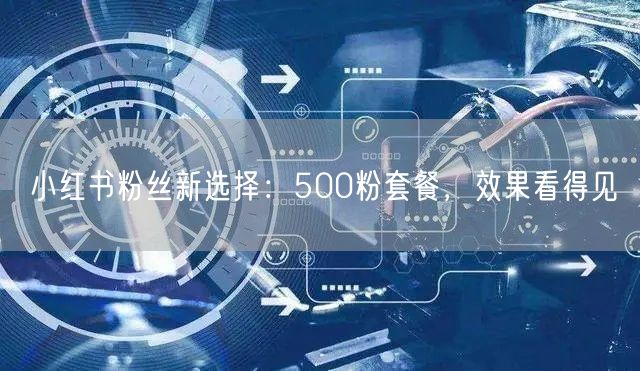 小红书粉丝新选择：500粉套餐，效果看得见