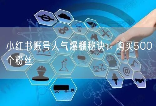 小红书账号人气爆棚秘诀：购买500个粉丝