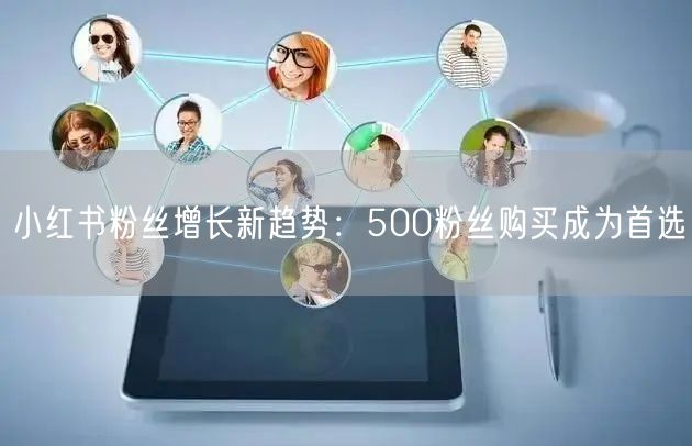 小红书粉丝增长新趋势：500粉丝购买成为首选