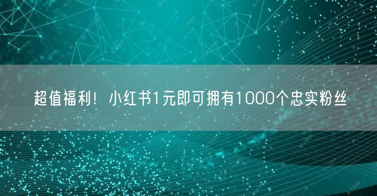 超值福利！小红书1元即可拥有1000个忠实粉丝