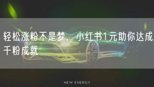 轻松涨粉不是梦，小红书1元助你达成千粉成就