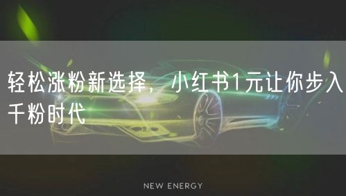 轻松涨粉新选择，小红书1元让你步入千粉时代