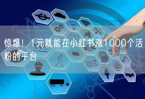 惊爆！1元就能在小红书涨1000个活粉的平台