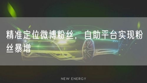 精准定位微博粉丝，自助平台实现粉丝暴增