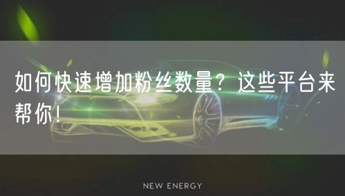 如何快速增加粉丝数量？这些平台来帮你！