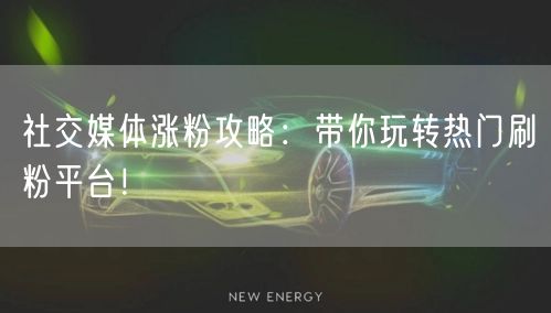 社交媒体涨粉攻略：带你玩转热门刷粉平台！