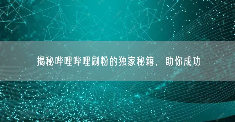 揭秘哔哩哔哩刷粉的独家秘籍，助你成功