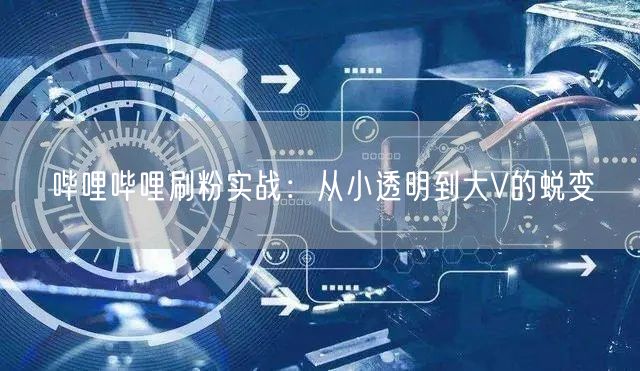 哔哩哔哩刷粉实战：从小透明到大V的蜕变