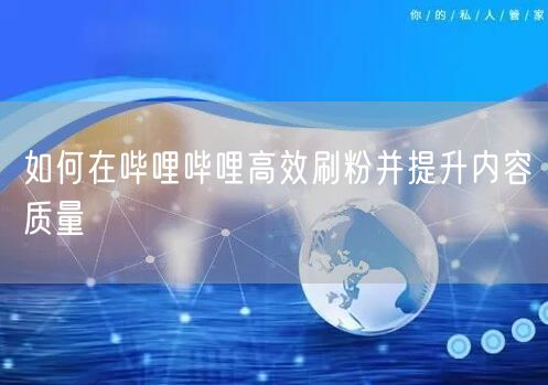 如何在哔哩哔哩高效刷粉并提升内容质量