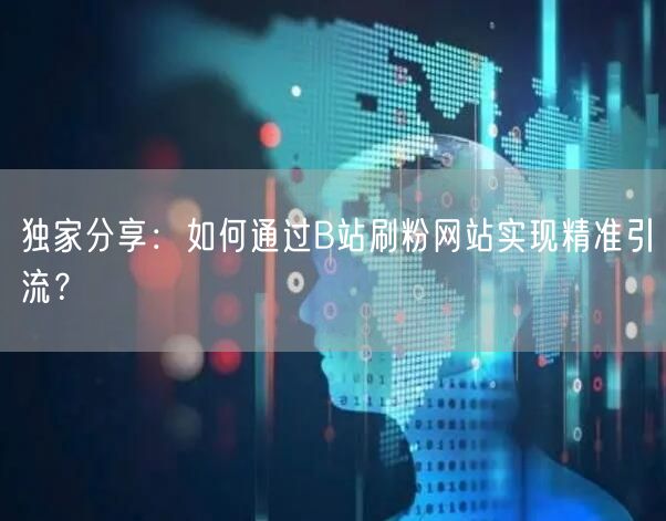 独家分享：如何通过B站刷粉网站实现精准引流？