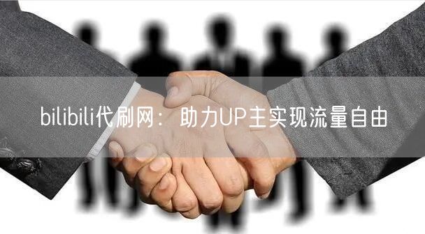 bilibili代刷网：助力UP主实现流量自由