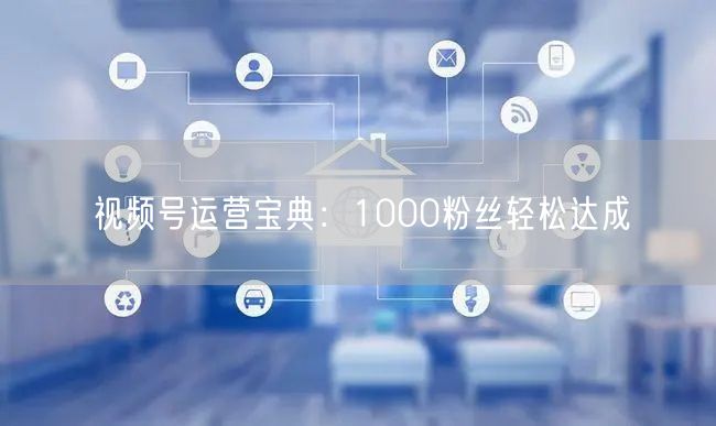 视频号运营宝典：1000粉丝轻松达成
