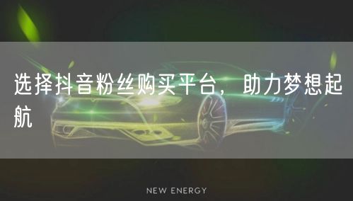 选择抖音粉丝购买平台，助力梦想起航