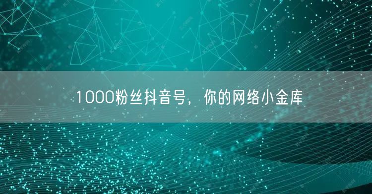 1000粉丝抖音号，你的网络小金库