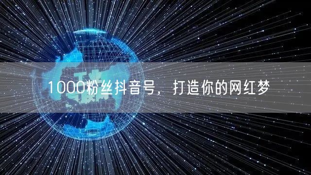 1000粉丝抖音号，打造你的网红梦