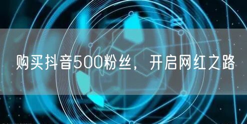 购买抖音500粉丝，开启网红之路