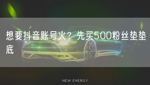 想要抖音账号火？先买500粉丝垫垫底