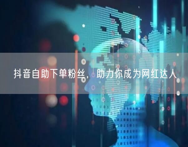 抖音自助下单粉丝，助力你成为网红达人