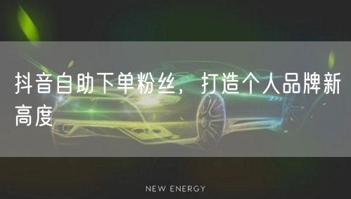 抖音自助下单粉丝，打造个人品牌新高度