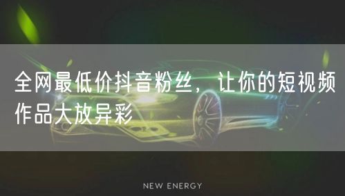 全网最低价抖音粉丝，让你的短视频作品大放异彩