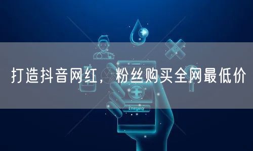 打造抖音网红，粉丝购买全网最低价