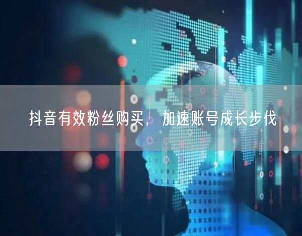 抖音有效粉丝购买，加速账号成长步伐