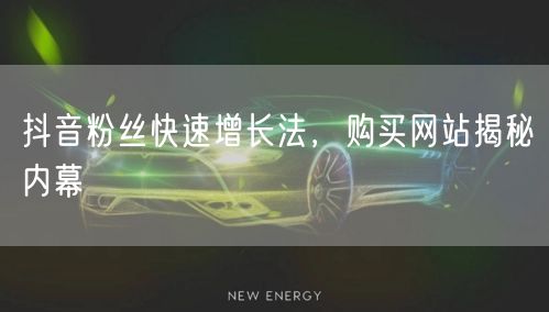 抖音粉丝快速增长法，购买网站揭秘内幕