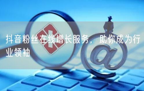 抖音粉丝在线增长服务，助你成为行业领袖