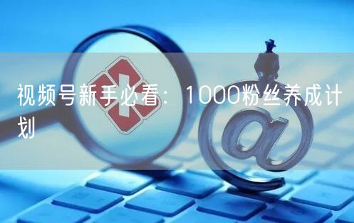 视频号新手必看：1000粉丝养成计划