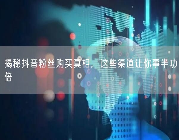 揭秘抖音粉丝购买真相，这些渠道让你事半功倍