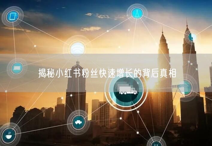 揭秘小红书粉丝快速增长的背后真相
