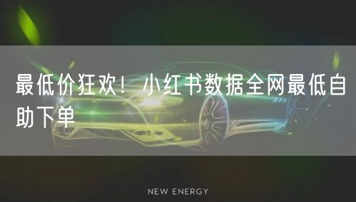 最低价狂欢！小红书数据全网最低自助下单