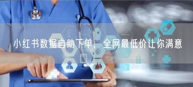 小红书数据自助下单，全网最低价让你满意