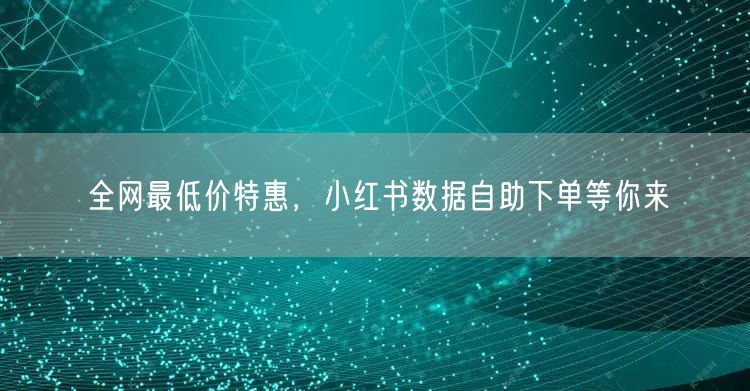 全网最低价特惠，小红书数据自助下单等你来